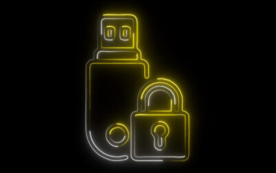 Verschlüsselter Kingston-USB-Stick