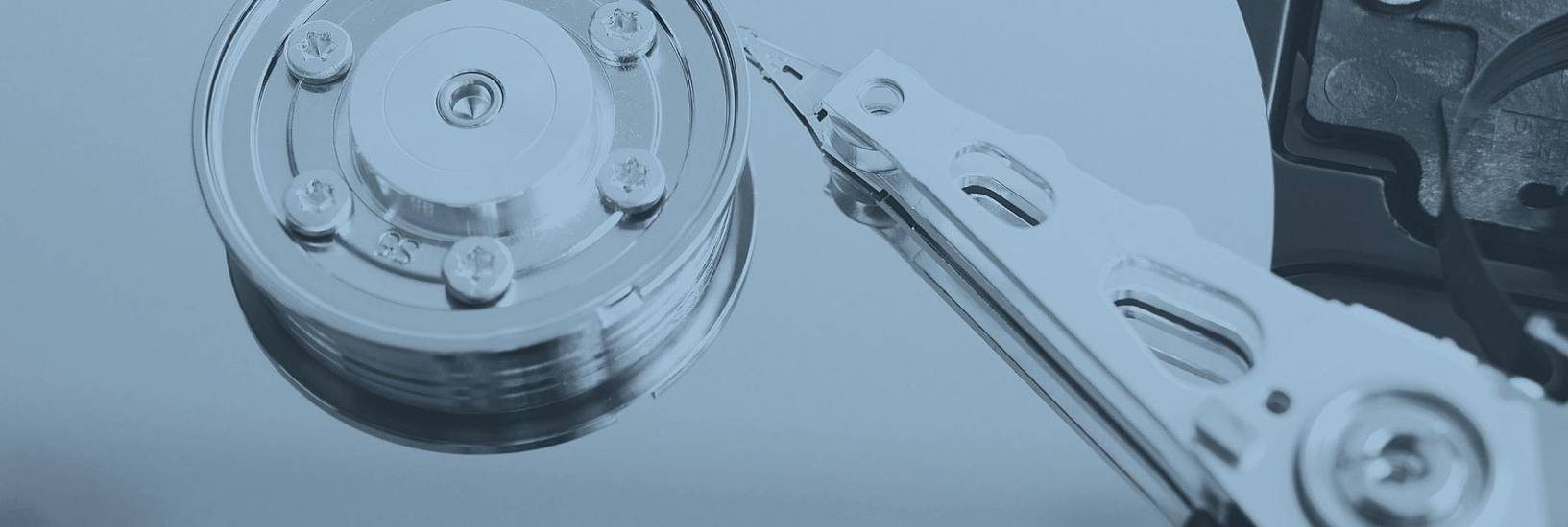 BitTruster neue Version