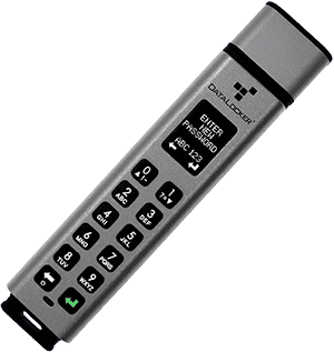 Kingston, SafeToGo, iStorage, Digittrade, IronKey